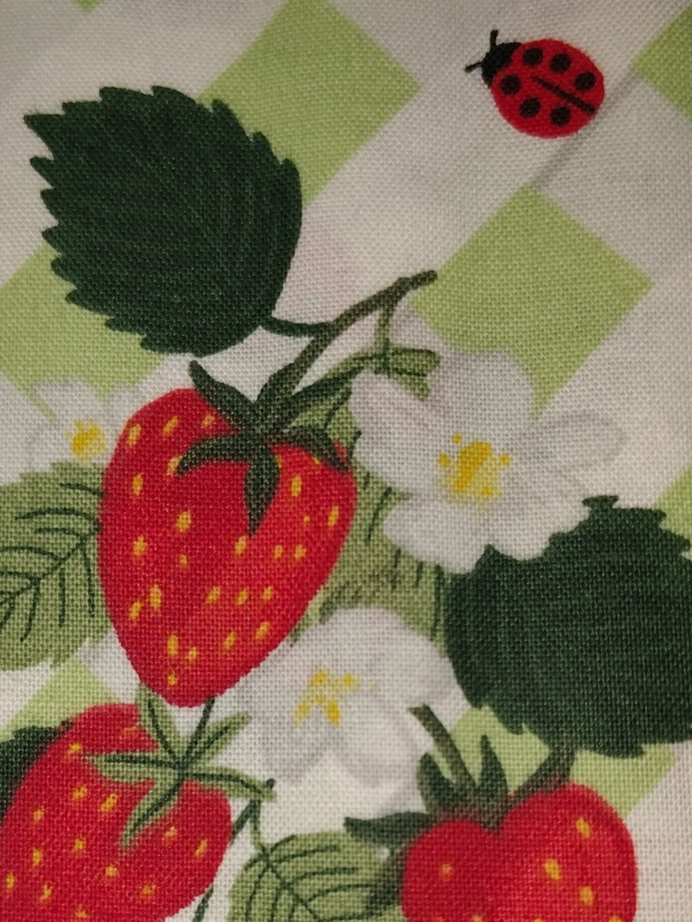 Strawberry Ladybug Print - Green and Red 100% Cotton 5 piece Back Quarter Bundle
